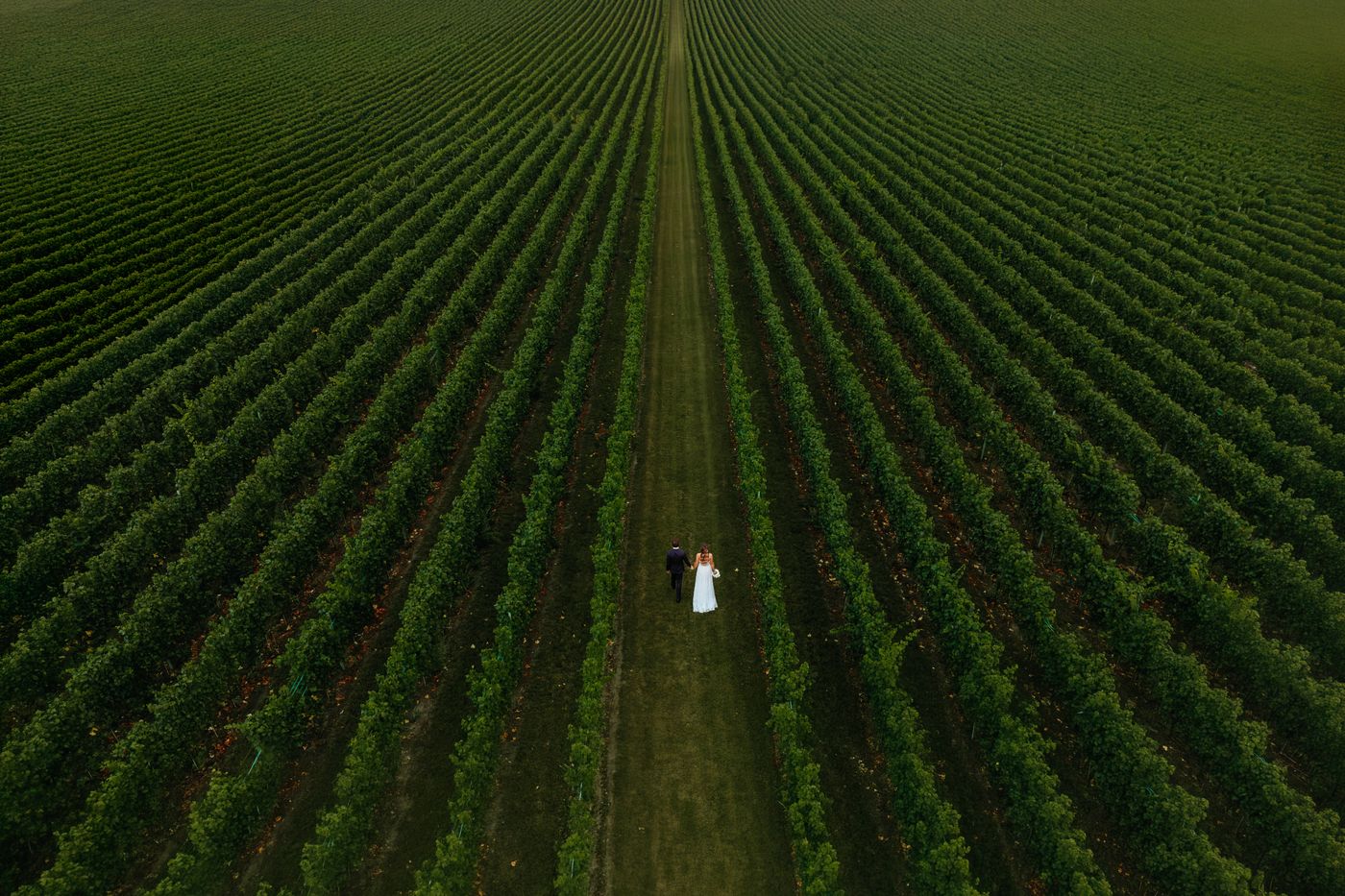 Photo de mariage par Julien Briche, photographe à Lille